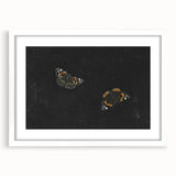 Urban Grunge Art - Butterfly Canvas Print for Modern Wall Decor