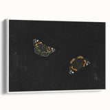 Urban Grunge Art - Butterfly Canvas Print for Modern Wall Decor