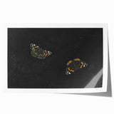 Urban Grunge Art - Butterfly Canvas Print for Modern Wall Decor