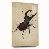 Abstract Grunge Stag Beetle Art - Distressed Insect Canvas Print