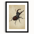 Abstract Grunge Stag Beetle Art - Distressed Insect Canvas Print