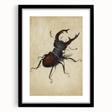 Abstract Grunge Stag Beetle Art - Distressed Insect Canvas Print