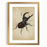 Abstract Grunge Stag Beetle Art - Distressed Insect Canvas Print