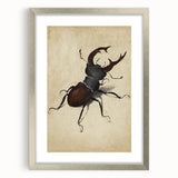 Abstract Grunge Stag Beetle Art - Distressed Insect Canvas Print