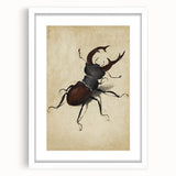Abstract Grunge Stag Beetle Art - Distressed Insect Canvas Print