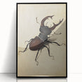 Abstract Grunge Stag Beetle Art - Distressed Insect Canvas Print