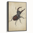 Abstract Grunge Stag Beetle Art - Distressed Insect Canvas Print