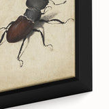Abstract Grunge Stag Beetle Art - Distressed Insect Canvas Print