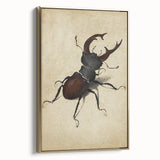 Abstract Grunge Stag Beetle Art - Distressed Insect Canvas Print