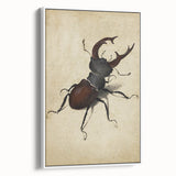 Abstract Grunge Stag Beetle Art - Distressed Insect Canvas Print