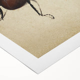 Abstract Grunge Stag Beetle Art - Distressed Insect Canvas Print