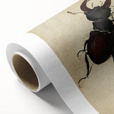 Abstract Grunge Stag Beetle Art - Distressed Insect Canvas Print