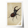 Abstract Grunge Stag Beetle Art - Distressed Insect Canvas Print