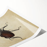 Abstract Grunge Stag Beetle Art - Distressed Insect Canvas Print