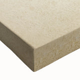 Abstract Grunge Stag Beetle Art - Distressed Insect Canvas Print