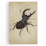 Abstract Grunge Stag Beetle Art - Distressed Insect Canvas Print