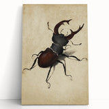 Abstract Grunge Stag Beetle Art - Distressed Insect Canvas Print