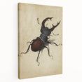 Abstract Grunge Stag Beetle Art - Distressed Insect Canvas Print