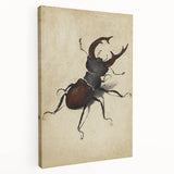 Abstract Grunge Stag Beetle Art - Distressed Insect Canvas Print