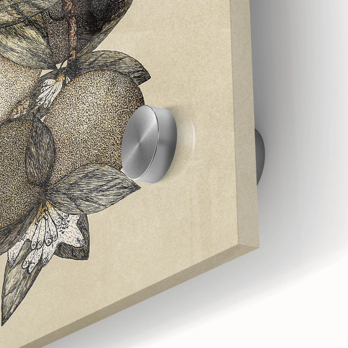 Grunge Citrus Botanical Art - Distressed Vintage Lemon Canvas Print