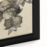 Grunge Citrus Botanical Art - Distressed Vintage Lemon Canvas Print