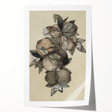 Grunge Citrus Botanical Art - Distressed Vintage Lemon Canvas Print