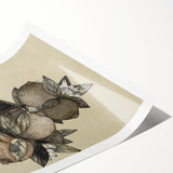 Grunge Citrus Botanical Art - Distressed Vintage Lemon Canvas Print