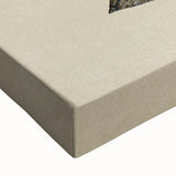 Grunge Citrus Botanical Art - Distressed Vintage Lemon Canvas Print