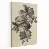 Grunge Citrus Botanical Art - Distressed Vintage Lemon Canvas Print