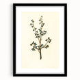 Vintage Grunge Botanical Print - Minimalist Greenery Canvas Wall Art