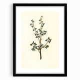 Vintage Grunge Botanical Print - Minimalist Greenery Canvas Wall Art