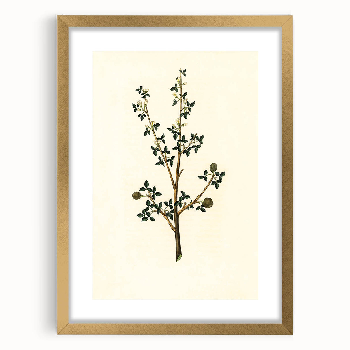 Vintage Grunge Botanical Print - Minimalist Greenery Canvas Wall Art