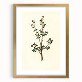 Vintage Grunge Botanical Print - Minimalist Greenery Canvas Wall Art