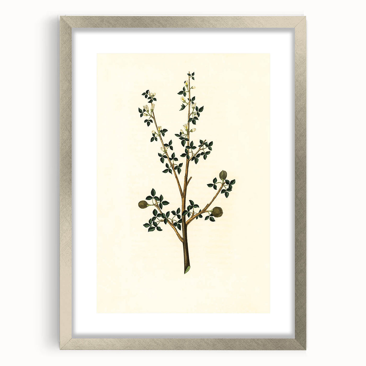 Vintage Grunge Botanical Print - Minimalist Greenery Canvas Wall Art