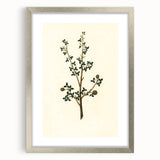 Vintage Grunge Botanical Print - Minimalist Greenery Canvas Wall Art