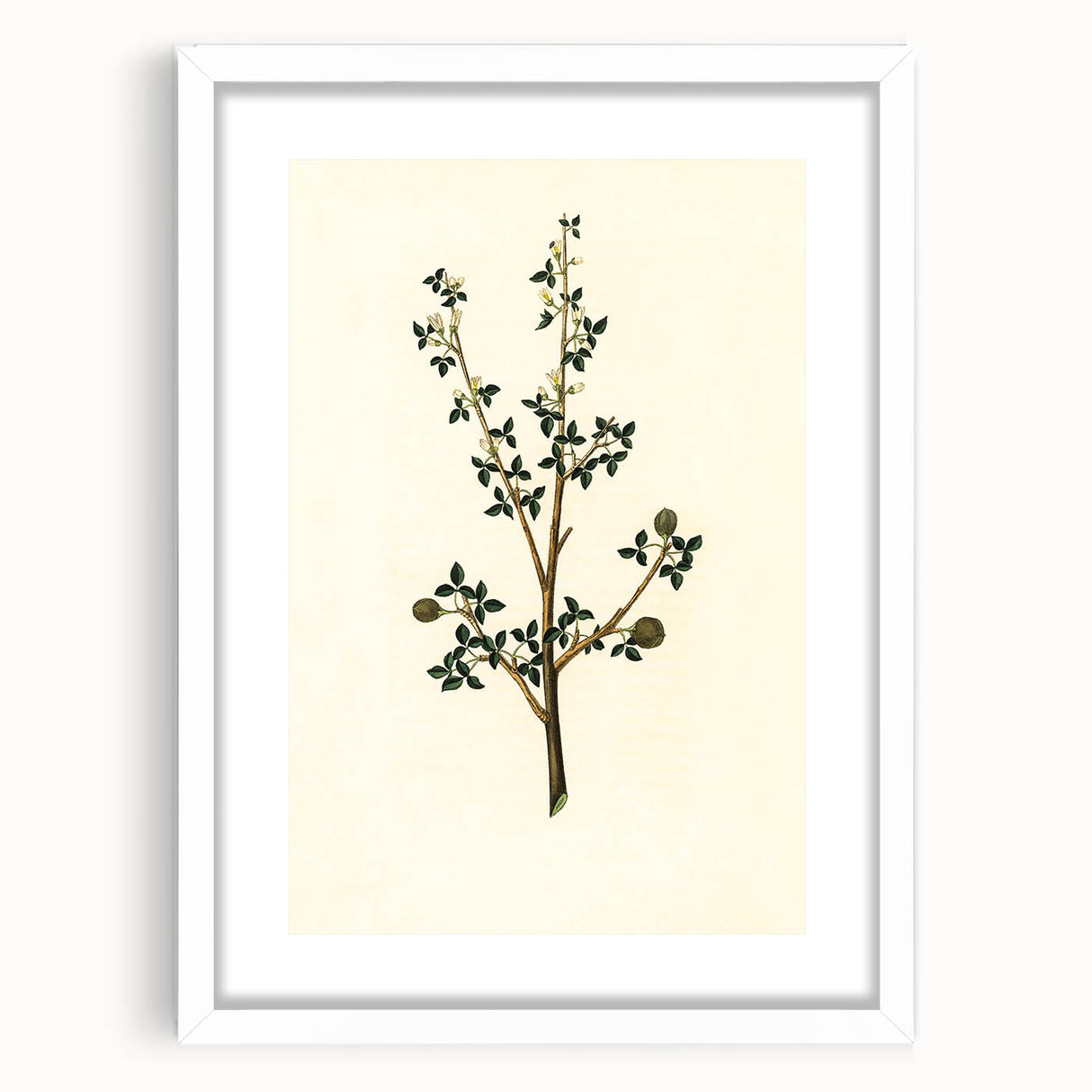 Vintage Grunge Botanical Print - Minimalist Greenery Canvas Wall Art