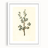 Vintage Grunge Botanical Print - Minimalist Greenery Canvas Wall Art