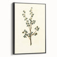 Vintage Grunge Botanical Print - Minimalist Greenery Canvas Wall Art