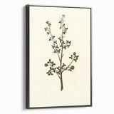 Vintage Grunge Botanical Print - Minimalist Greenery Canvas Wall Art