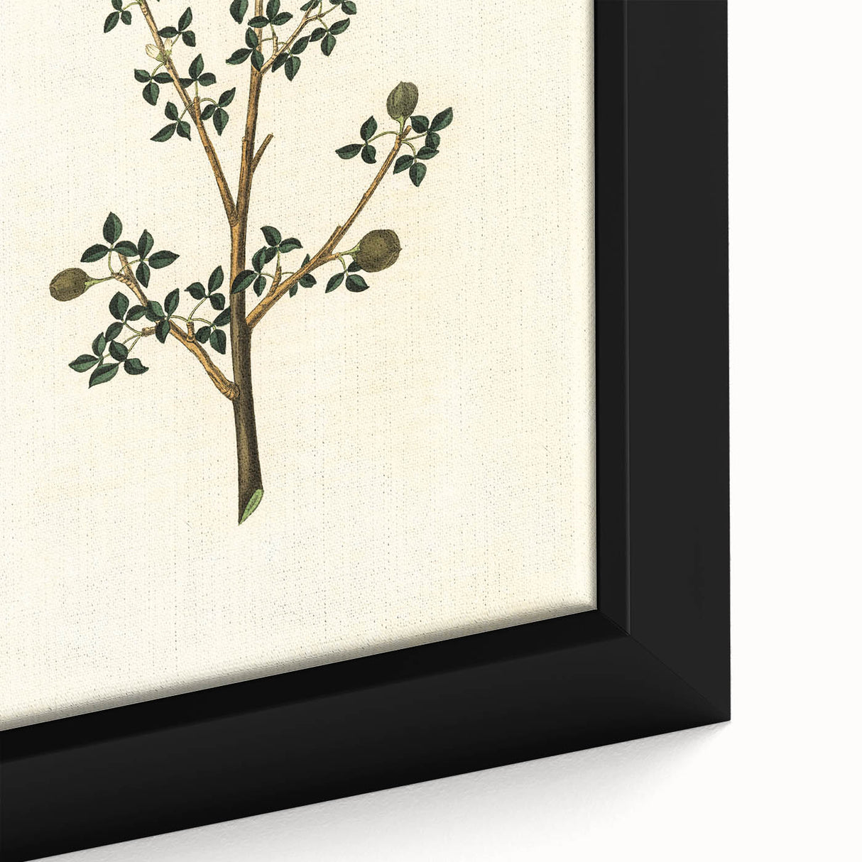 Vintage Grunge Botanical Print - Minimalist Greenery Canvas Wall Art