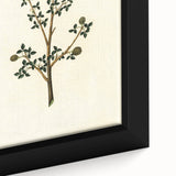 Vintage Grunge Botanical Print - Minimalist Greenery Canvas Wall Art