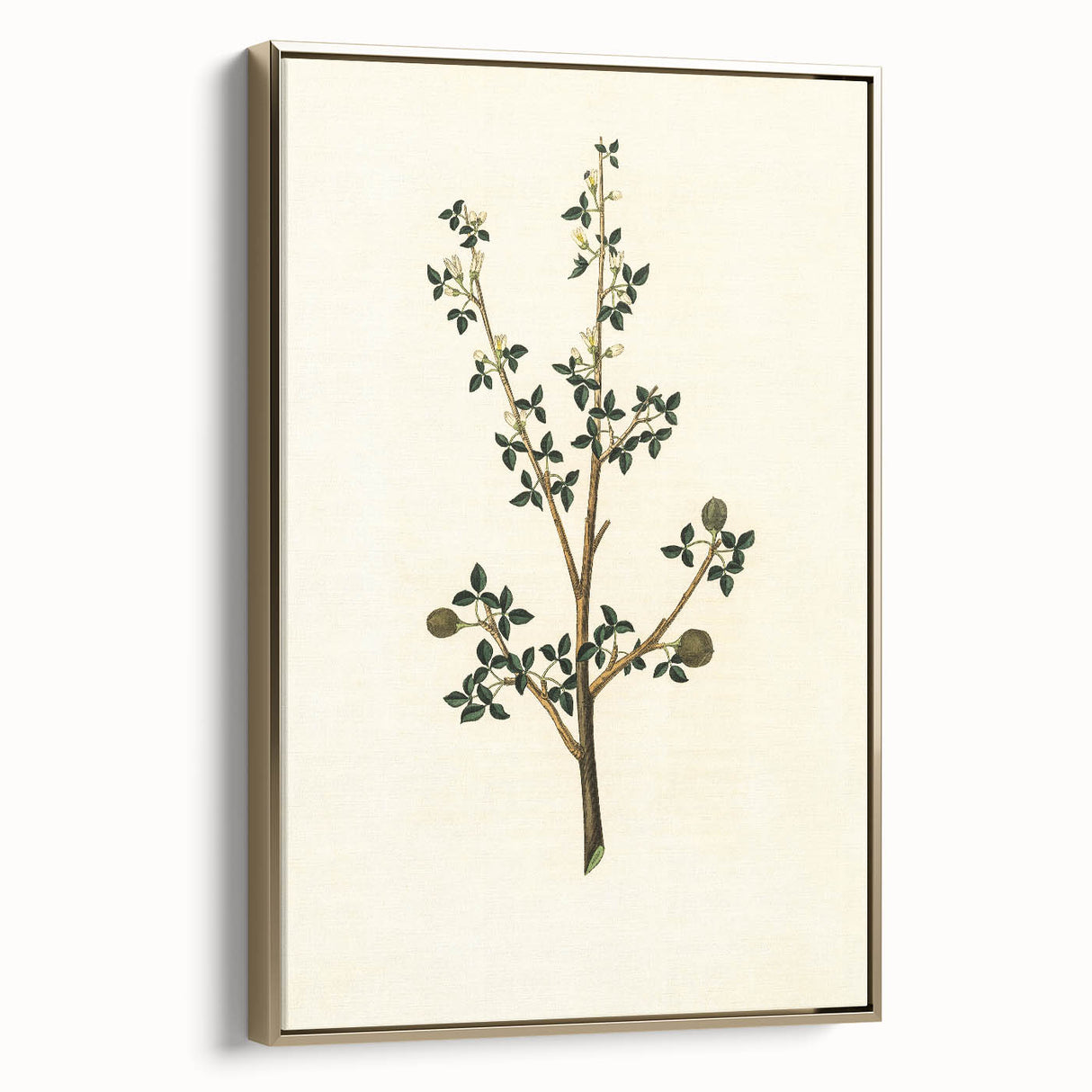 Vintage Grunge Botanical Print - Minimalist Greenery Canvas Wall Art