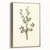 Vintage Grunge Botanical Print - Minimalist Greenery Canvas Wall Art