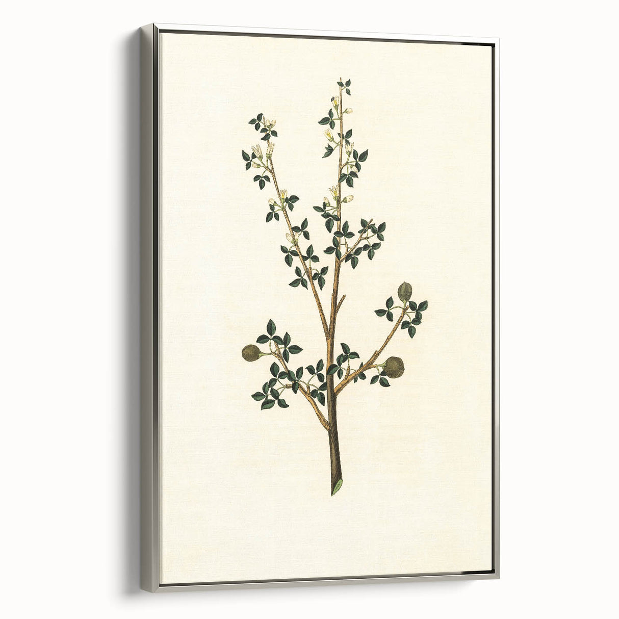 Vintage Grunge Botanical Print - Minimalist Greenery Canvas Wall Art