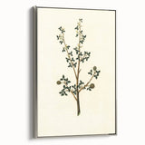 Vintage Grunge Botanical Print - Minimalist Greenery Canvas Wall Art