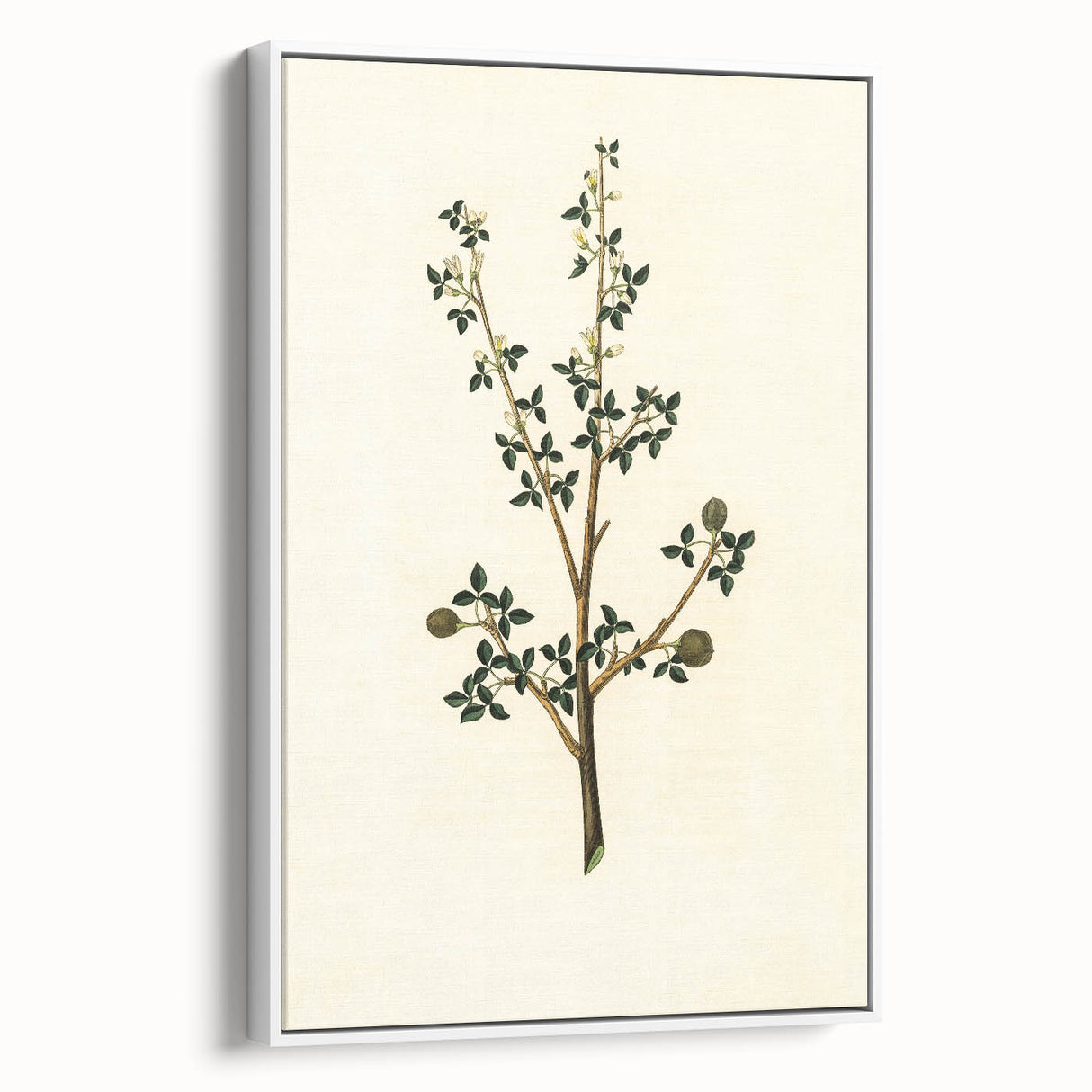 Vintage Grunge Botanical Print - Minimalist Greenery Canvas Wall Art