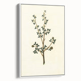 Vintage Grunge Botanical Print - Minimalist Greenery Canvas Wall Art