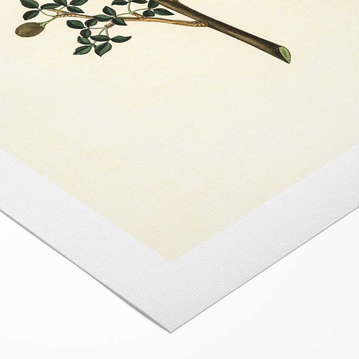 Vintage Grunge Botanical Print - Minimalist Greenery Canvas Wall Art
