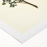 Vintage Grunge Botanical Print - Minimalist Greenery Canvas Wall Art