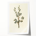 Vintage Grunge Botanical Print - Minimalist Greenery Canvas Wall Art
